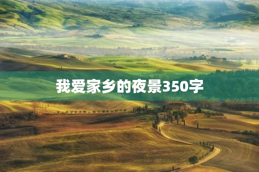 我爱家乡的夜景350字