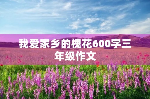 我爱家乡的槐花600字三年级作文