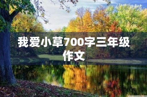 我爱小草700字三年级作文 我爱小草700字三年级作文
