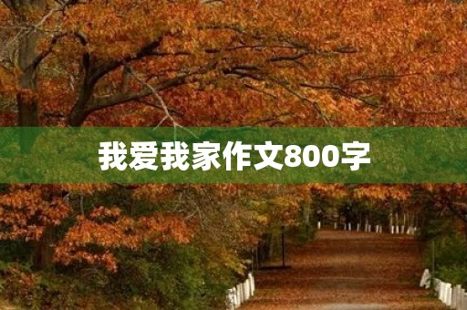 我爱我家作文800字
