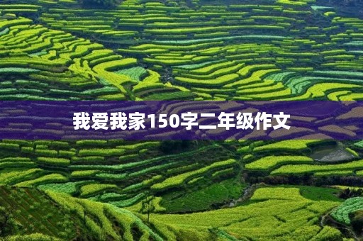 我爱我家150字二年级作文