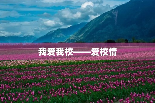我爱我校——爱校情,爱生活,爱未来 我爱我校——爱校情,爱生活,爱未来