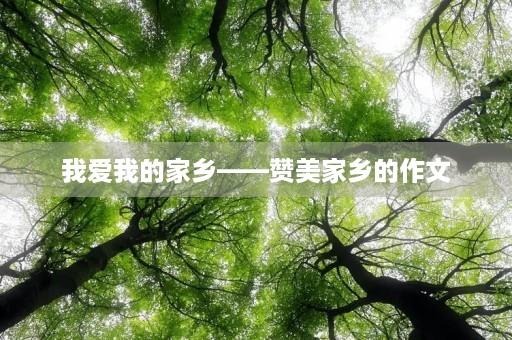 我爱我的家乡——赞美家乡的作文