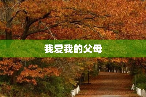 我爱我的父母 我爱我的父母
