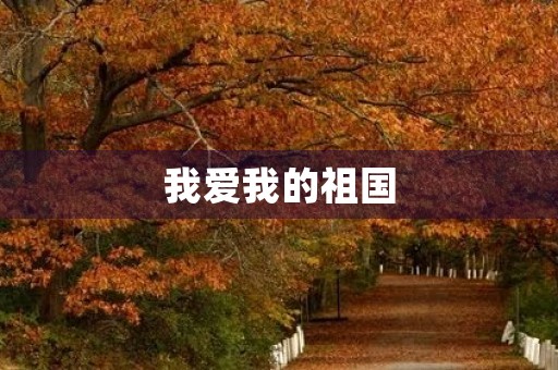 我爱我的祖国