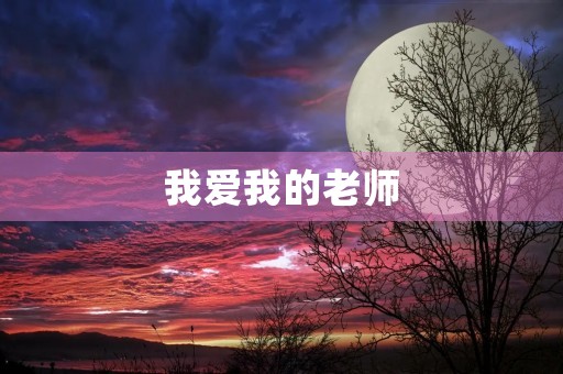 我爱我的老师 我爱我的老师