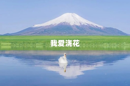 我爱浇花