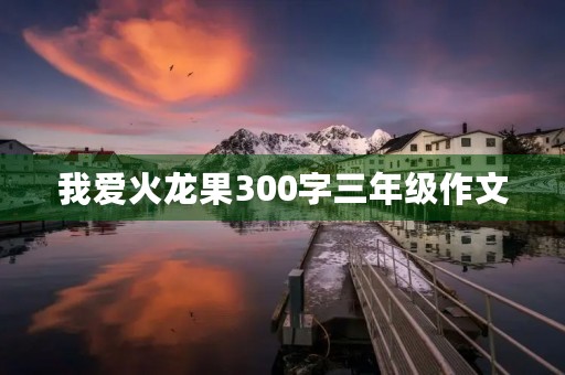我爱火龙果300字三年级作文