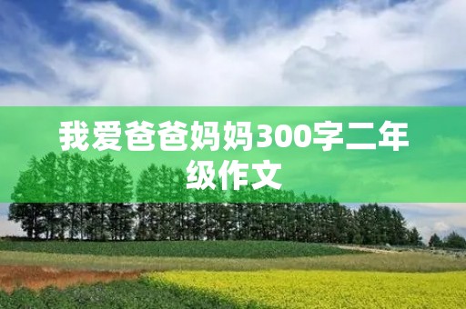 我爱爸爸妈妈300字二年级作文