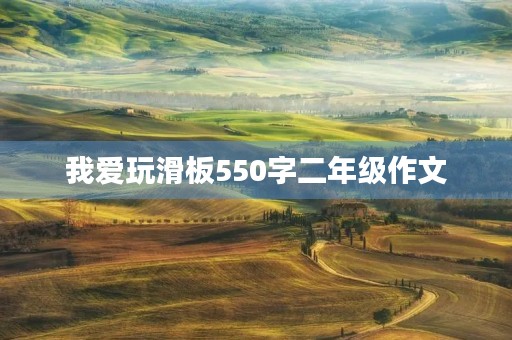 我爱玩滑板550字二年级作文