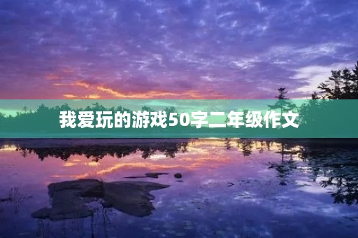 我爱玩的游戏50字二年级作文