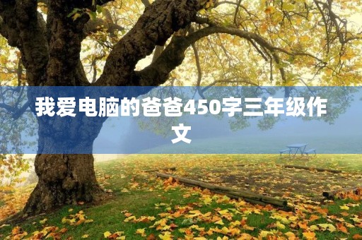 我爱电脑的爸爸450字三年级作文