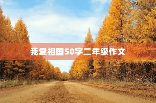 我爱祖国50字二年级作文