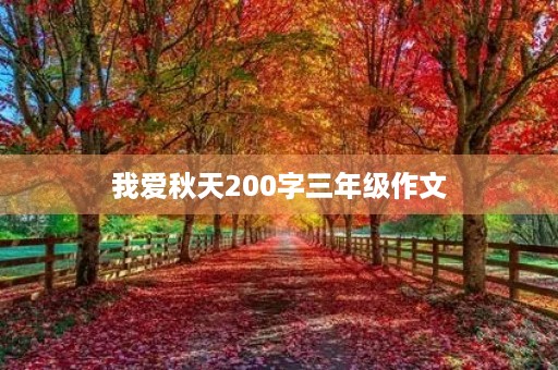 我爱秋天200字三年级作文
