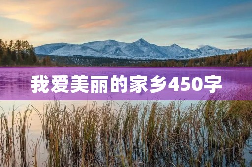 我爱美丽的家乡450字
