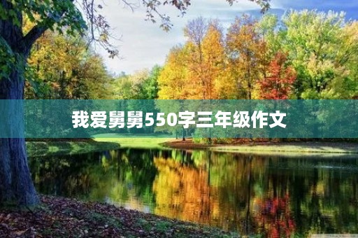 我爱舅舅550字三年级作文
