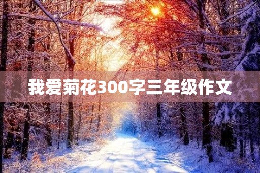 我爱菊花300字三年级作文