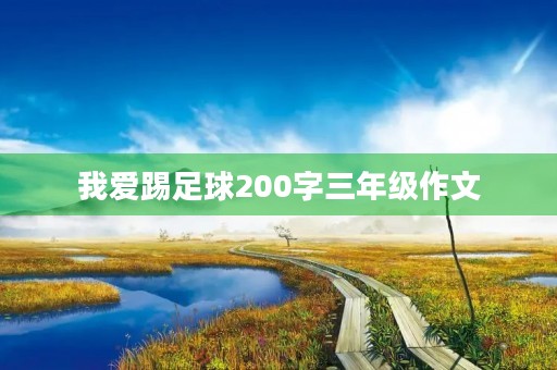 我爱踢足球200字三年级作文
