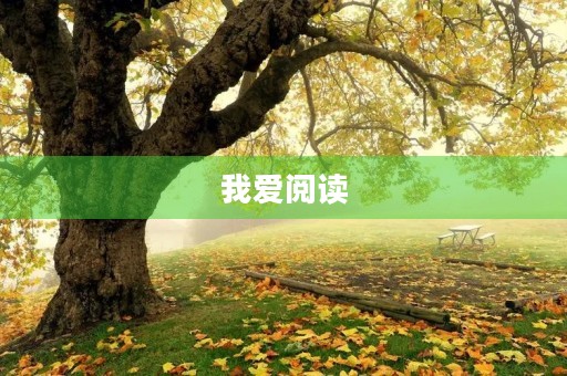 我爱阅读 我爱阅读