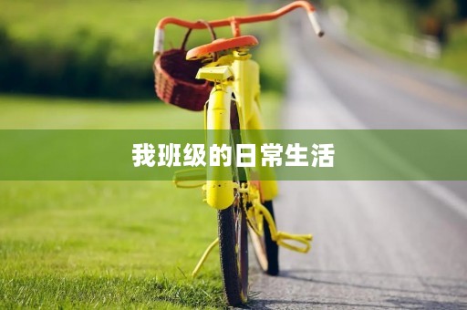 我班级的日常生活