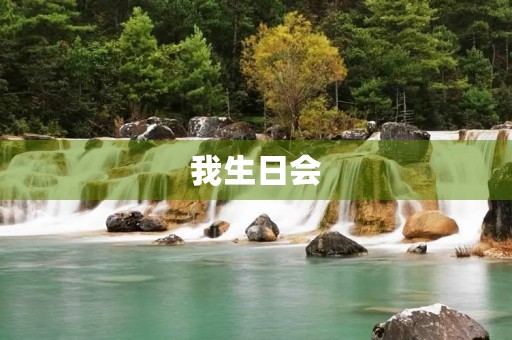 我生日会 我生日会