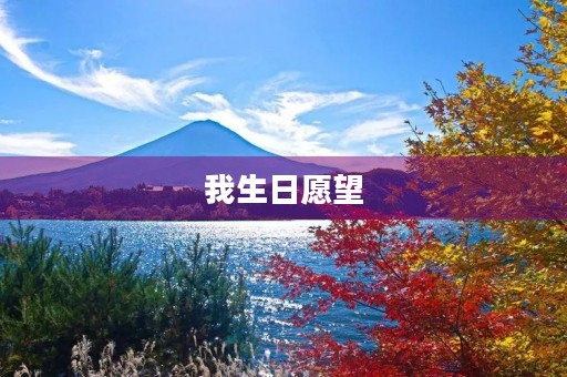 我生日愿望 我生日愿望