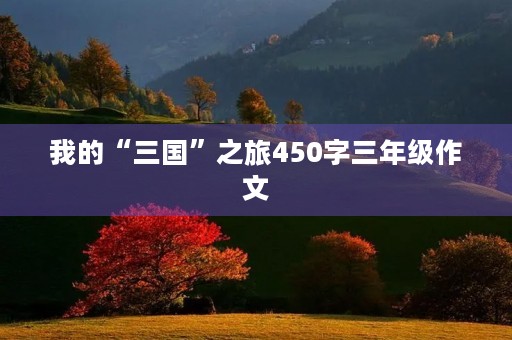 我的“三国”之旅450字三年级作文 我的“三国”之旅450字三年级作文