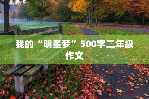 我的“明星梦”500字二年级作文