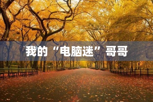 我的“电脑迷”哥哥