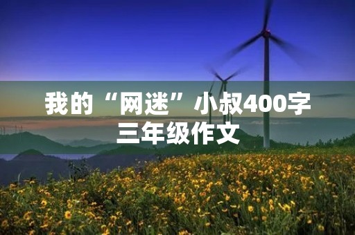 我的“网迷”小叔400字三年级作文 我的“网迷”小叔400字三年级作文