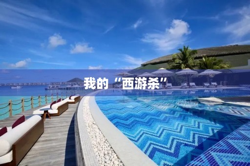 我的“西游杀”
