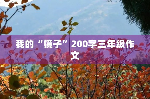 我的“镜子”200字三年级作文