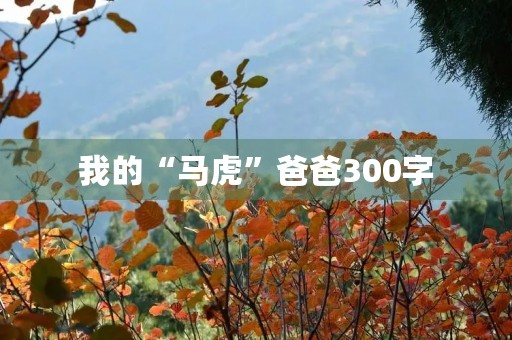 我的“马虎”爸爸300字