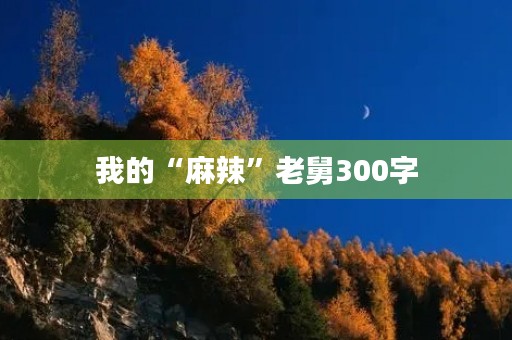 我的“麻辣”老舅300字 我的“麻辣”老舅300字