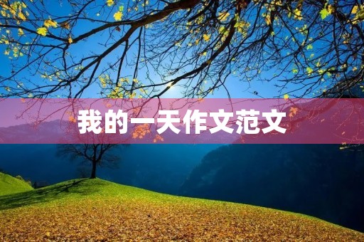 我的一天作文范文