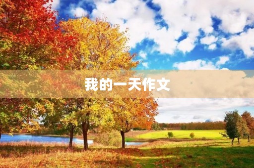 我的一天作文