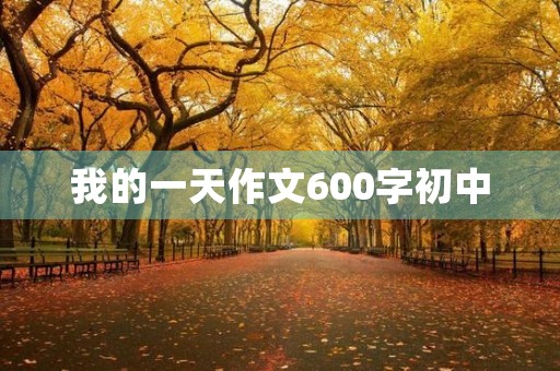 我的一天作文600字初中