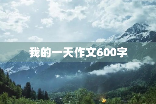 我的一天作文600字
