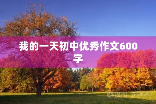 我的一天初中优秀作文600字 我的一天初中优秀作文600字