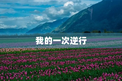 我的一次逆行 我的一次逆行