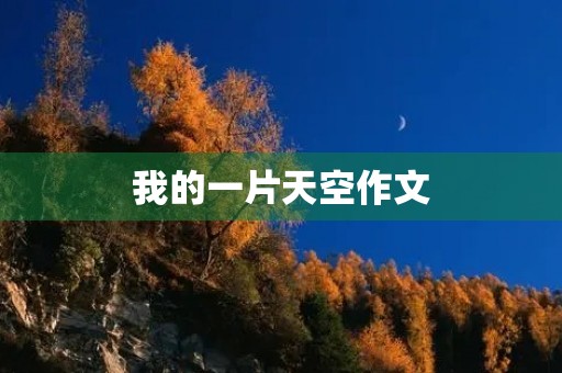 我的一片天空作文