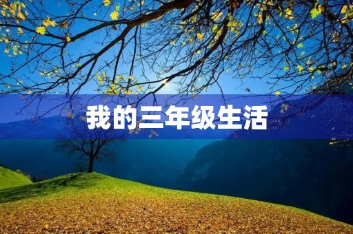我的三年级生活 我的三年级生活