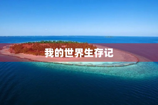 我的世界生存记【1至3】600字三年级作文