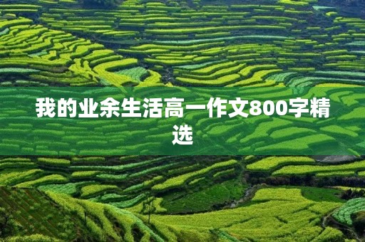 我的业余生活高一作文800字精选 我的业余生活高一作文800字精选