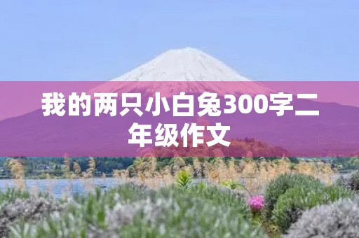 我的两只小白兔300字二年级作文