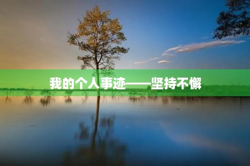我的个人事迹——坚持不懈，努力前行
