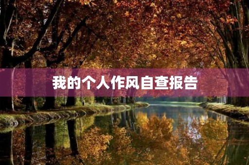我的个人作风自查报告