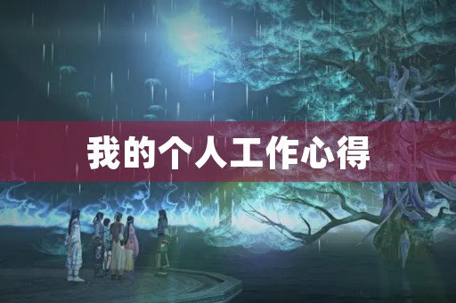 我的个人工作心得 我的个人工作心得