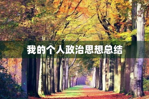 我的个人政治思想总结 我的个人政治思想总结