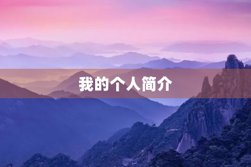 我的个人简介